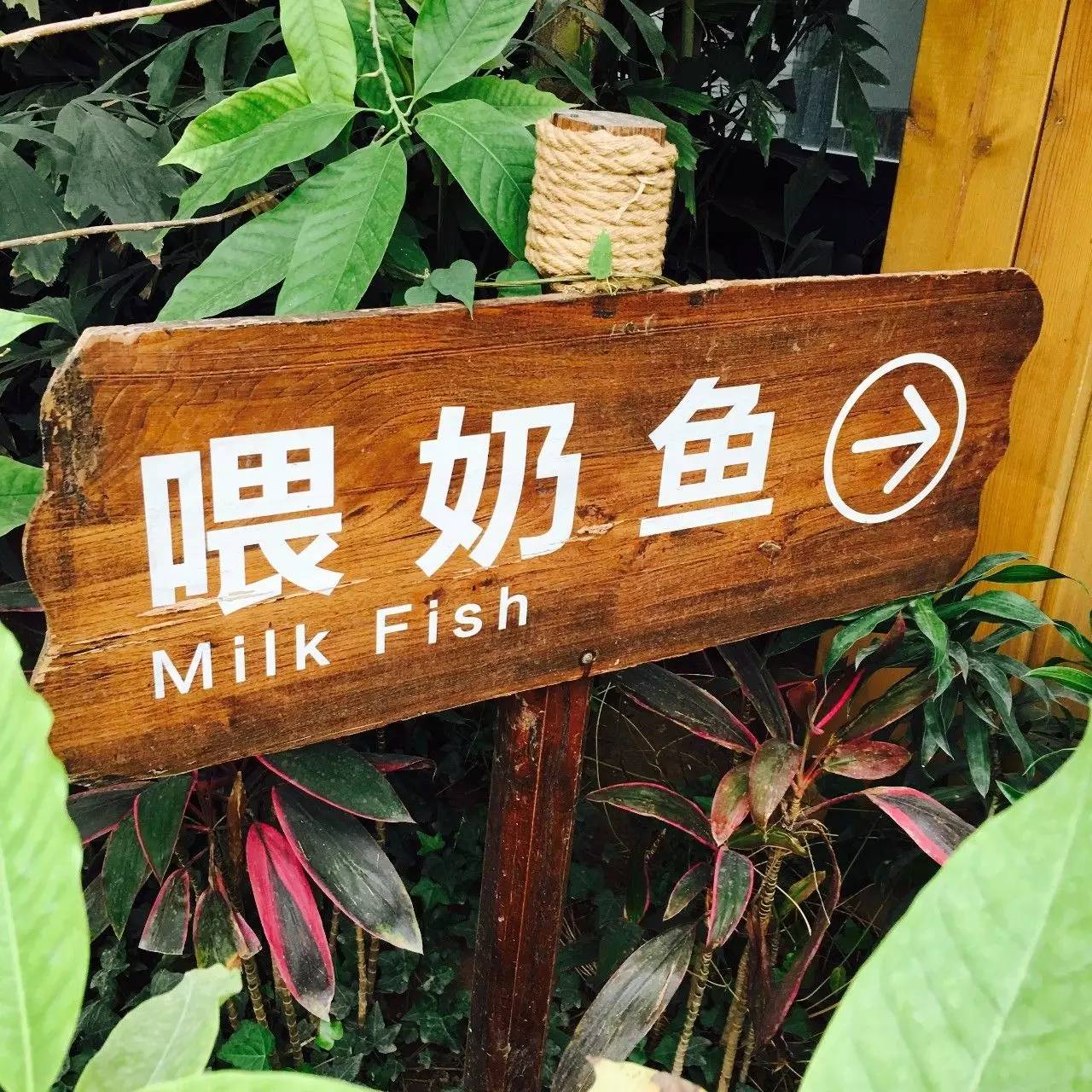 NYC活动回顾