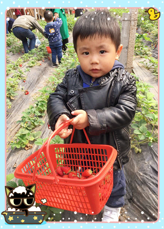 NYC纽约国际邯郸早教中心植树节活动