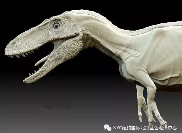 NYC国际早教北京蓝色港湾早教中心艺术课