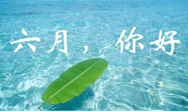 NYC纽约国际房山早教中心六月活动
