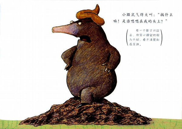 绘本推荐《是谁嗯嗯在我头上》