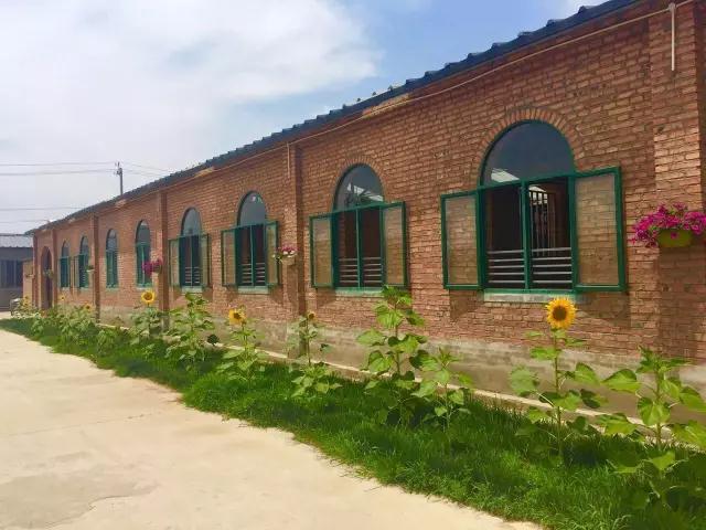 NYC纽约国际北京西红门鸿坤中心：风度小骑士，亲近马儿接近大自然