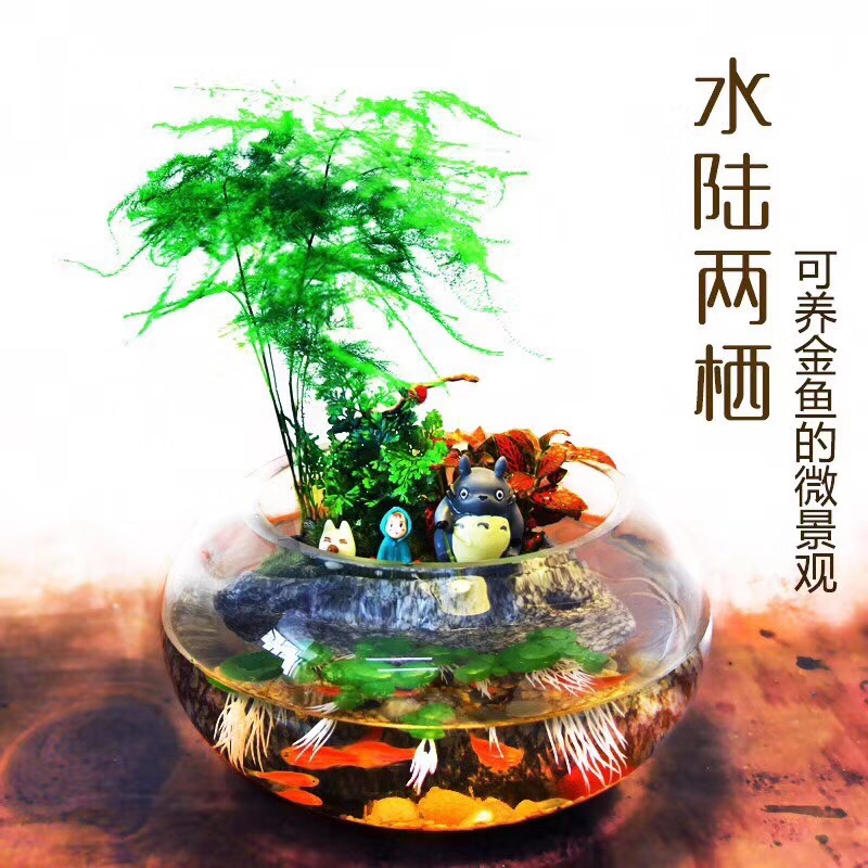 纽约国际朝阳早教中心
