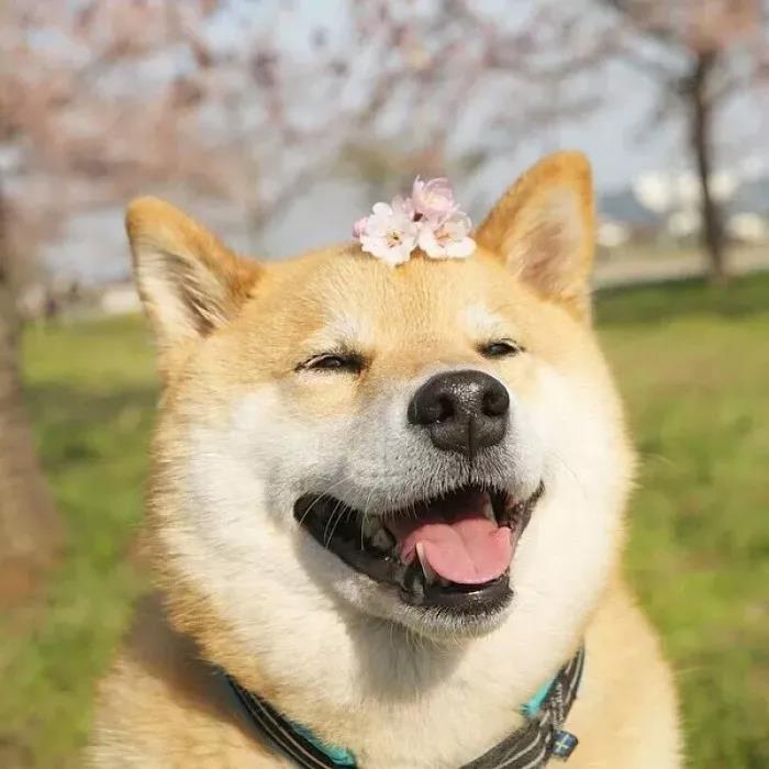 天津早教中心