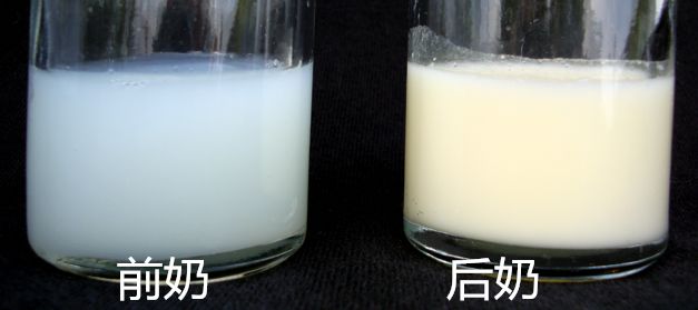 母乳中前奶和后奶的区别 哪种对宝宝好