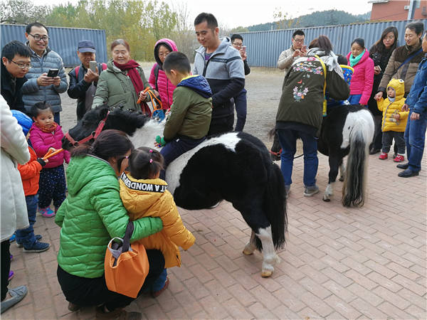 NYC纽约国际丰台丰科早教中心小小马术师活动招募