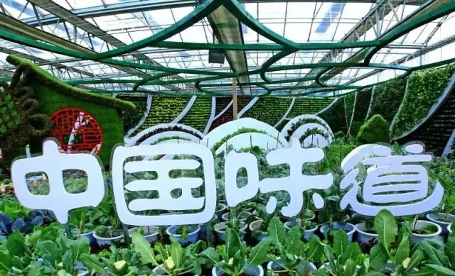 NYC纽约国际房山长阳早教中心：纽约国际农业嘉年华招募
