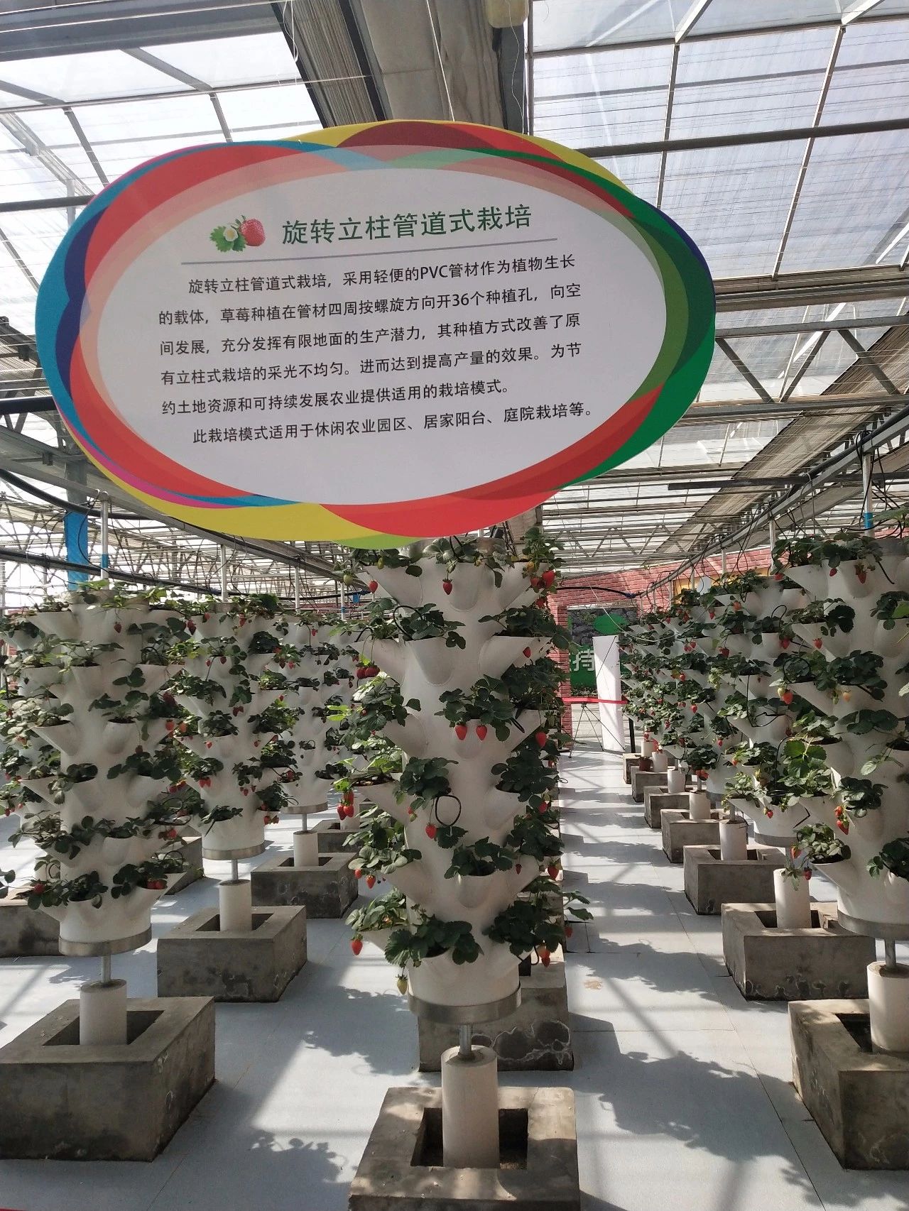 NYC纽约国际房山长阳早教中心：纽约国际农业嘉年华招募