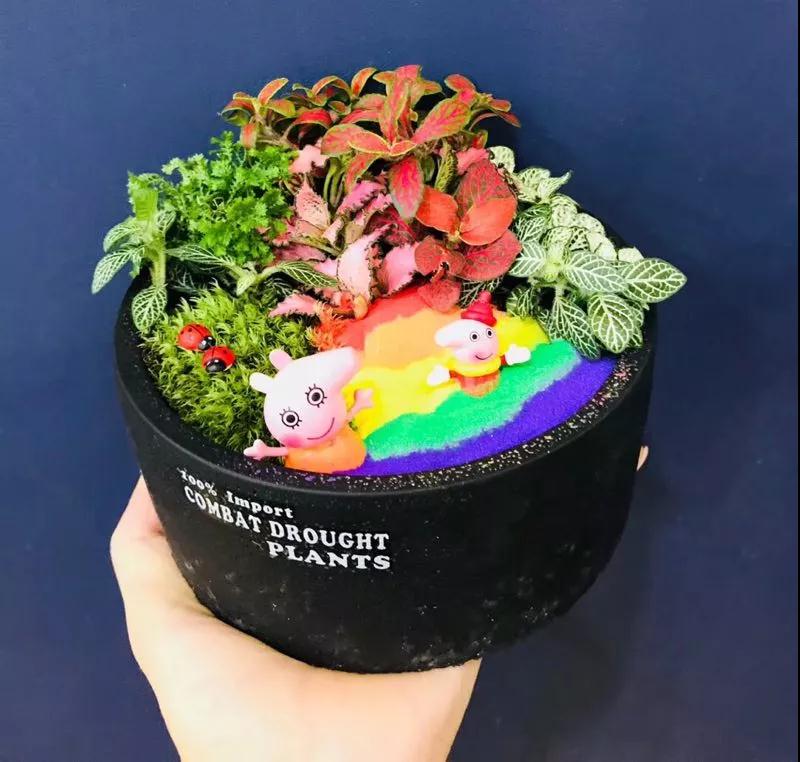 NYC蓝色港湾早教中心七月暑期档活动预告