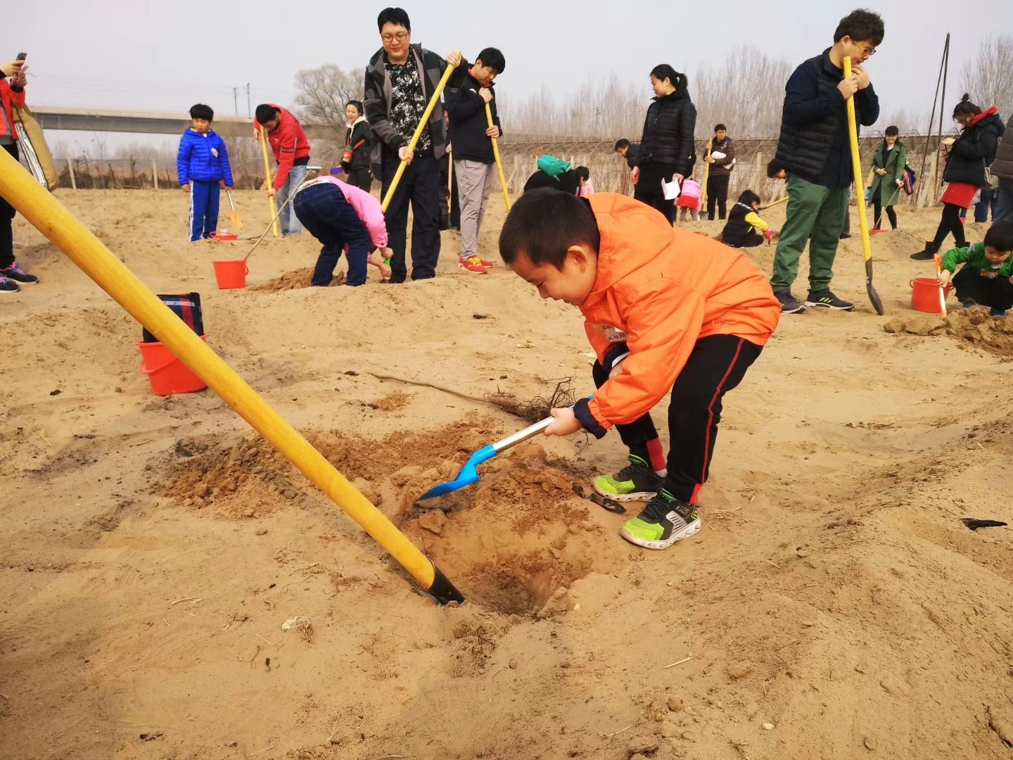 NYC纽约国际房山龙湖早教中心：【活动回顾】“这个春天献出一份爱心”植树大行动！