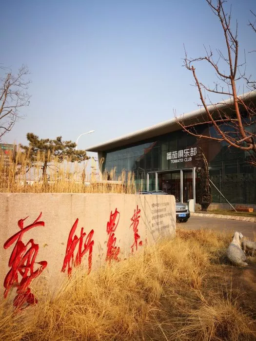 NYC纽约国际北京通州早教中心 NYC纽约国际北京通州早教中心